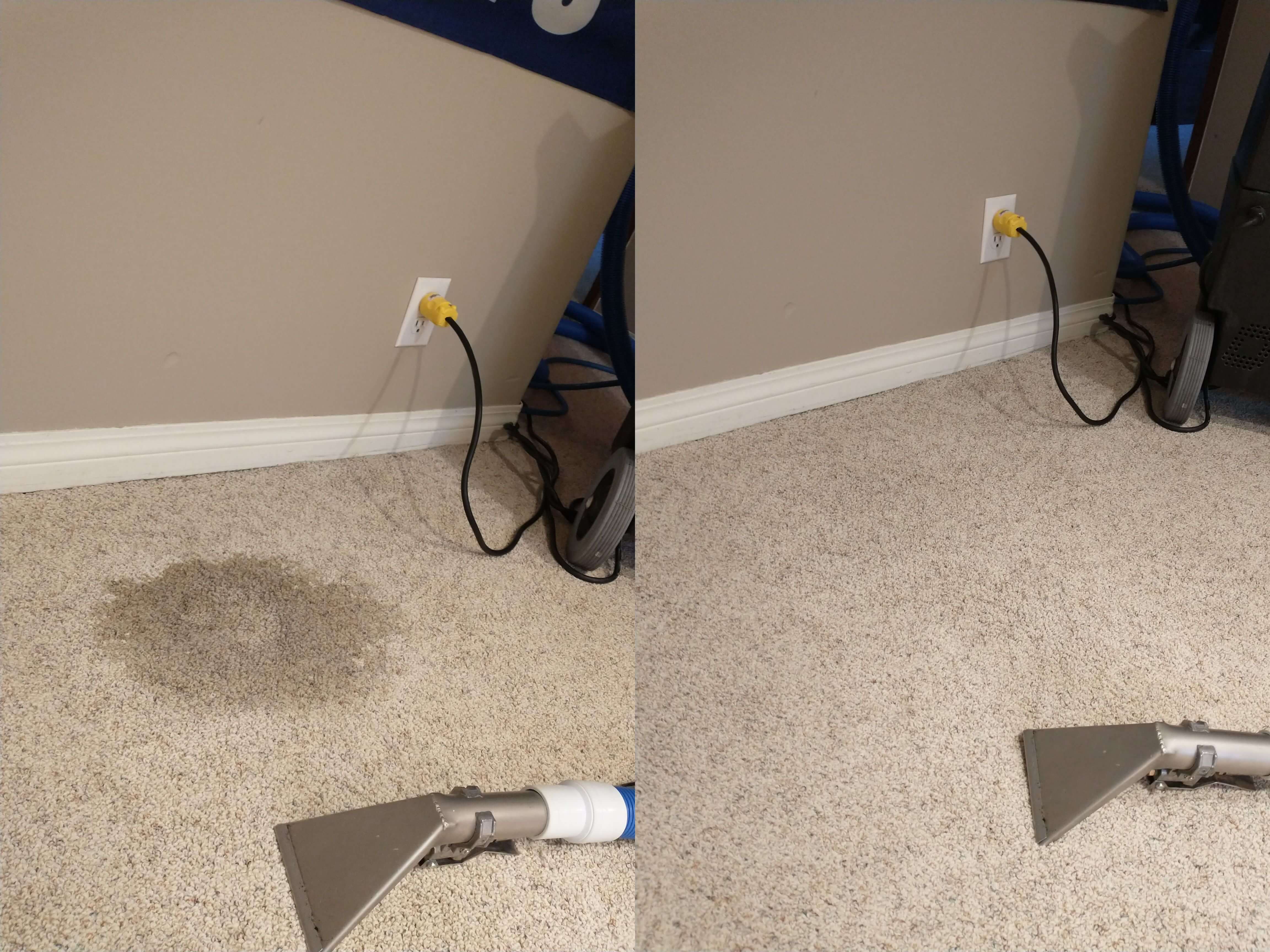 Carpet Cleaning In Halifax - Mr. Steam™ Halifax